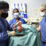First Time Human Patient Receives Pig Heart