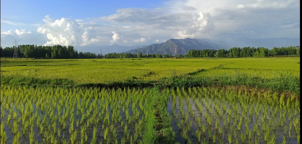 The Changing Face of Agriculture