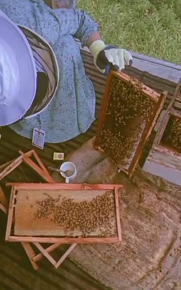 From Hive to Honey