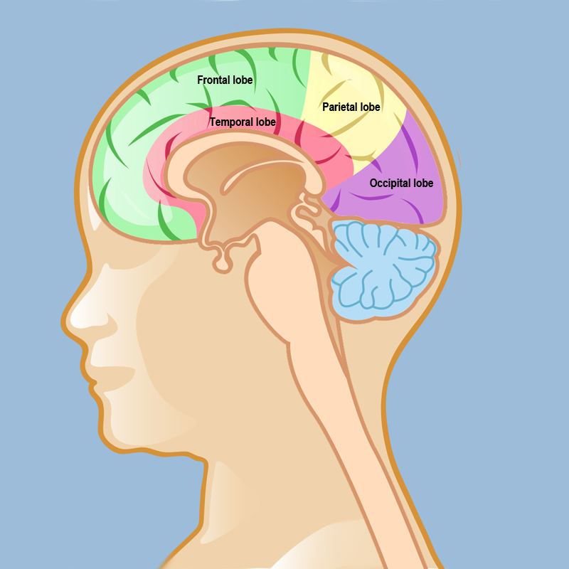 Advancing Brain Tumor Treatment