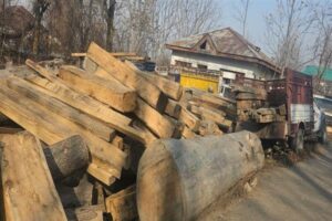 Govt Curbs Timber Smuggling in Kashmir