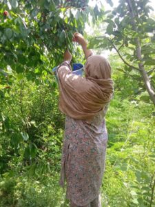 Empowering Women Entrepreneurs: Shifali Muzafar's Journey with NRLM 