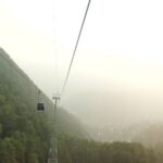 Udhampur Forest Division uses cable cars to disperse seed balls to increase forest cover