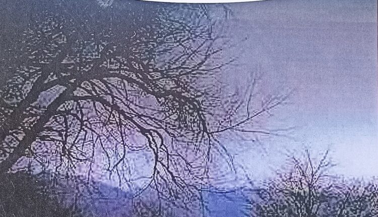 Gard-e-Shab-e-Khayal: Stories that Hold a Mirror to Kashmir