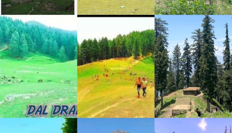 The Meadow of Many Moods