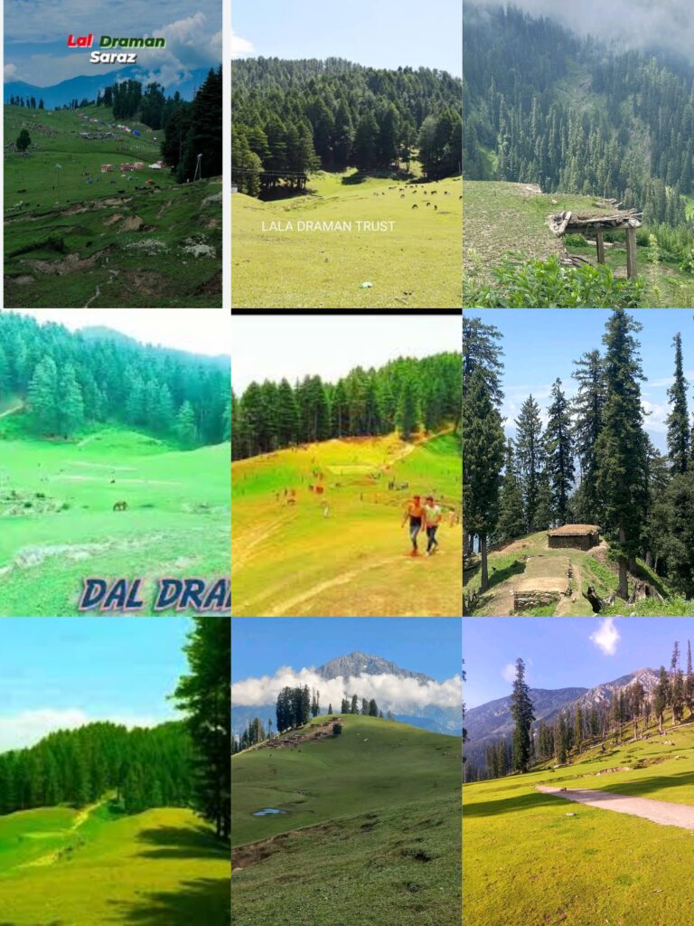 The Meadow of Many Moods