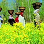 A Land of Agro-Diversity