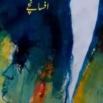 Admi Musafir Hai captures life in 93 stories