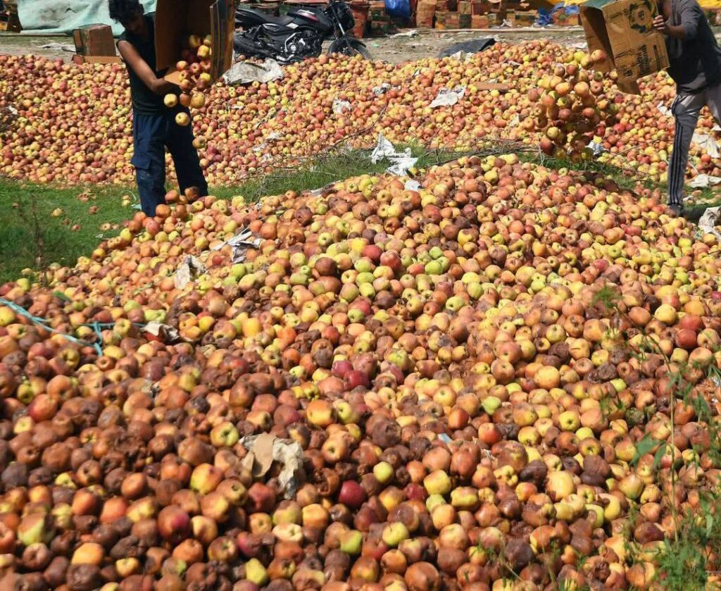 Highway Closure Chokes Kashmir’s Orchard Economy