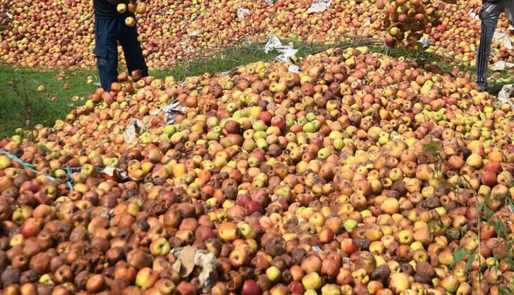 Highway Closure Chokes Kashmir’s Orchard Economy