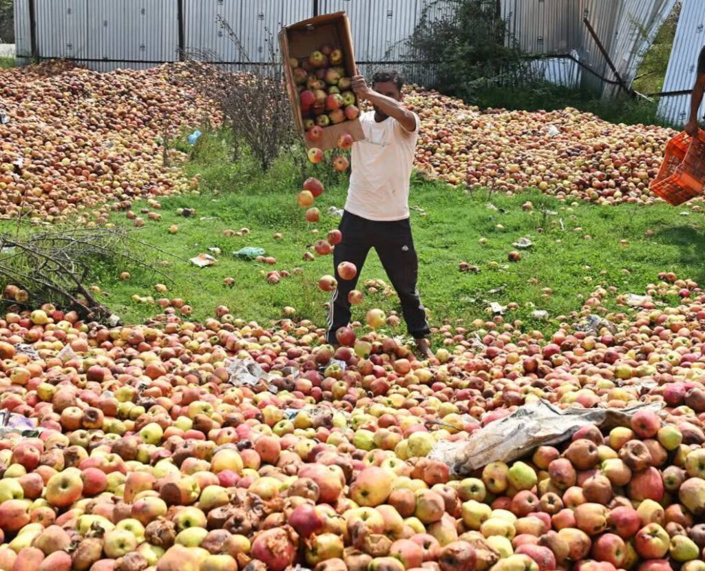 Highway Closure Chokes Kashmir’s Orchard Economy