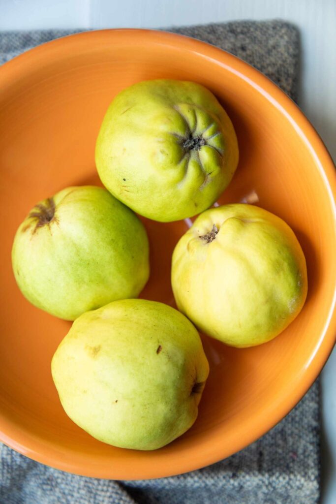 The Quintessential Quince of Kashmir
