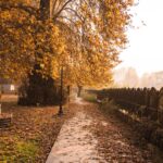 Autumn’s Magic in the Valley