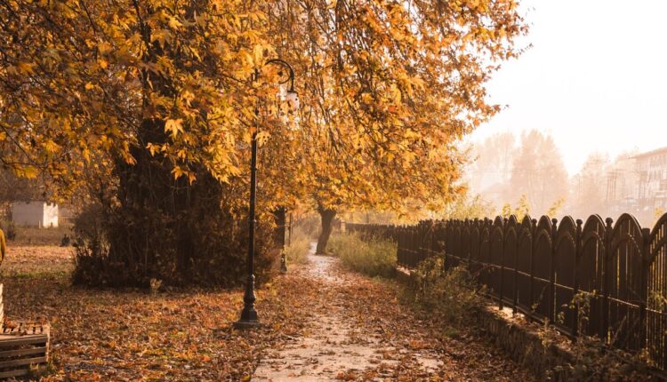 Autumn’s Magic in the Valley