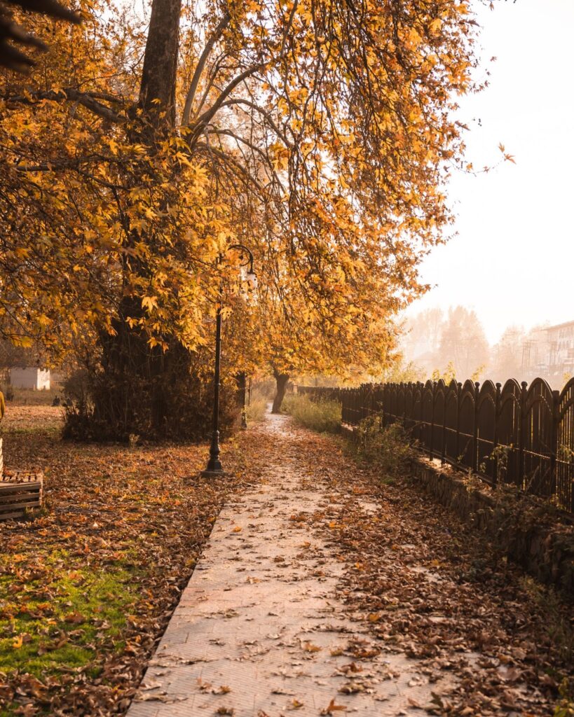 Autumn’s Magic in the Valley