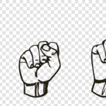 The Art, Emotion, and Science of Signs