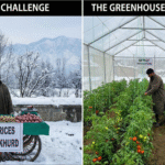 Frozen Fields, Scorching Prices