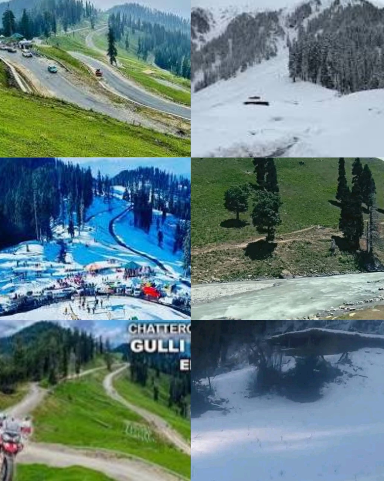 Guldanda’s White Gold