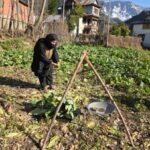 Samiya Parvaiz: The Green Pioneer of Teetwal