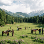 Pine Scents and Baisaran Scars