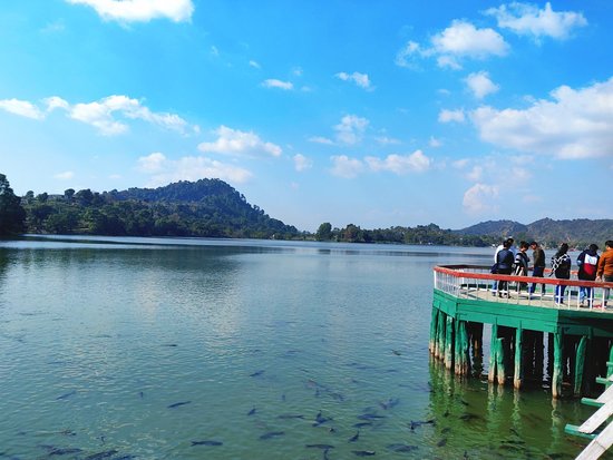 A Journey to the Sacred Waters of Mansar Lake